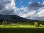 Contrasti di primavera Contrasti di primavera