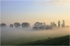 Alba e nebbia... Alba e nebbia...
