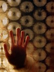 No all'abuso delle donne No all'abuso delle donne