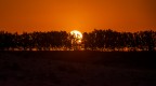 Rosso fuoco Rosso fuoco