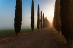 i soliti...ma diversi i soliti...ma diversi