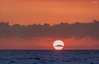 Tramonto con sole ad Omega Tramonto con sole ad Omega