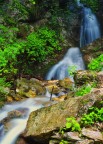 Torrente alpino Torrente alpino