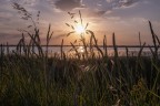 Saline_Cervia_Giu2024_3 Saline_Cervia_Giu2024_3