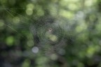 Macro_Giu2024_4 Macro_Giu2024_4