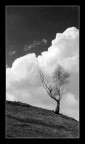 paesaggio b/n 3 paesaggio b/n 3