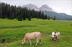 Dolomiti Dolomiti