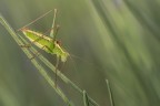 Macro_Lug2024_1 Macro_Lug2024_1
