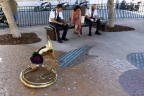 Siesta Siesta