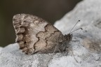 Macro_Ago2024_21 Macro_Ago2024_21