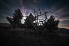 the dark eternal night #1 the dark eternal night #1