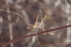 Macro_Ago2024_d1 Macro_Ago2024_d1