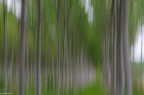 ICM 2 ICM 2