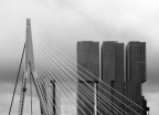 Erasmusbrug Erasmusbrug