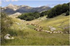 L’intervallo L’intervallo