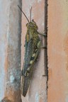 Verticalizzazioni Verticalizzazioni