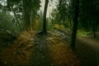 Nel parco Nel parco