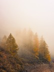 Paesaggi "fortemente" autunnali Paesaggi "fortemente" autunnali