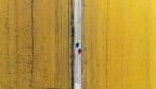 Rosso e blue nel giallo Rosso e blue nel giallo
