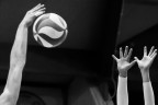 Volley Volley