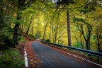 Verde giallo e rosso Verde giallo e rosso