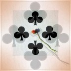 Fiore su fiori Fiore su fiori