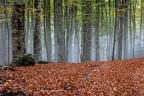 tre fasce autunnali tre fasce autunnali