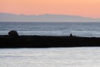 Il pescatore Il pescatore