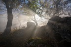 verso la luce verso la luce