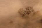 nella nebbia nella nebbia