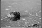 La solitudine La solitudine