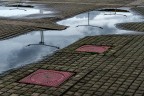 urban #185 urban #185