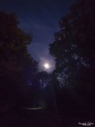 Sotto la Luna Sotto la Luna