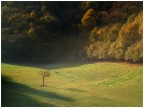 Autunno sui Colli Berici Autunno sui Colli Berici