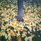 Autunno Autunno
