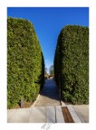 Two bushes and a path Two bushes and a path