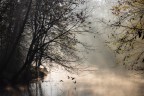 Il Lambro si risveglia Il Lambro si risveglia