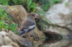 Frosone_DSC07568 Frosone_DSC07568