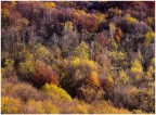 ultimi colpi d'autunno ultimi colpi d'autunno
