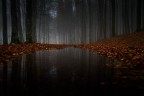 autumn autumn