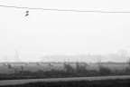 Il posto delle scarpe Il posto delle scarpe
