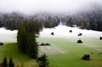 prima neve prima neve