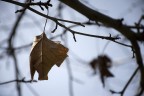 Autunno Autunno