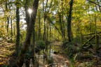 L'autunno L'autunno