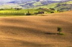 Il misantropo ( Val d'Orcia)