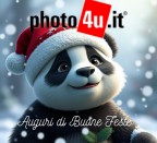 Auguri di Buone Feste Auguri di Buone Feste