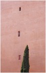 muro rosa con cipresso muro rosa con cipresso