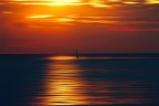 Solitaria nel rosso Solitaria nel rosso