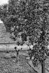Mi prendi in braccio ? Mi prendi in braccio ?