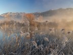 una fredda mattina di dicembre una fredda mattina di dicembre